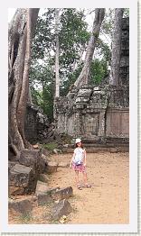 20170404_145224 * IICSA   II * IICSA   II * 2322 x 4128 * (2.35MB)
